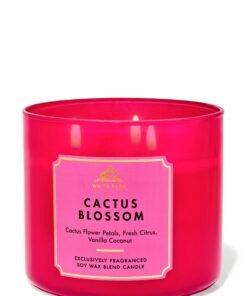 Alternative view of Cactus Blossom 3-Wick Candle