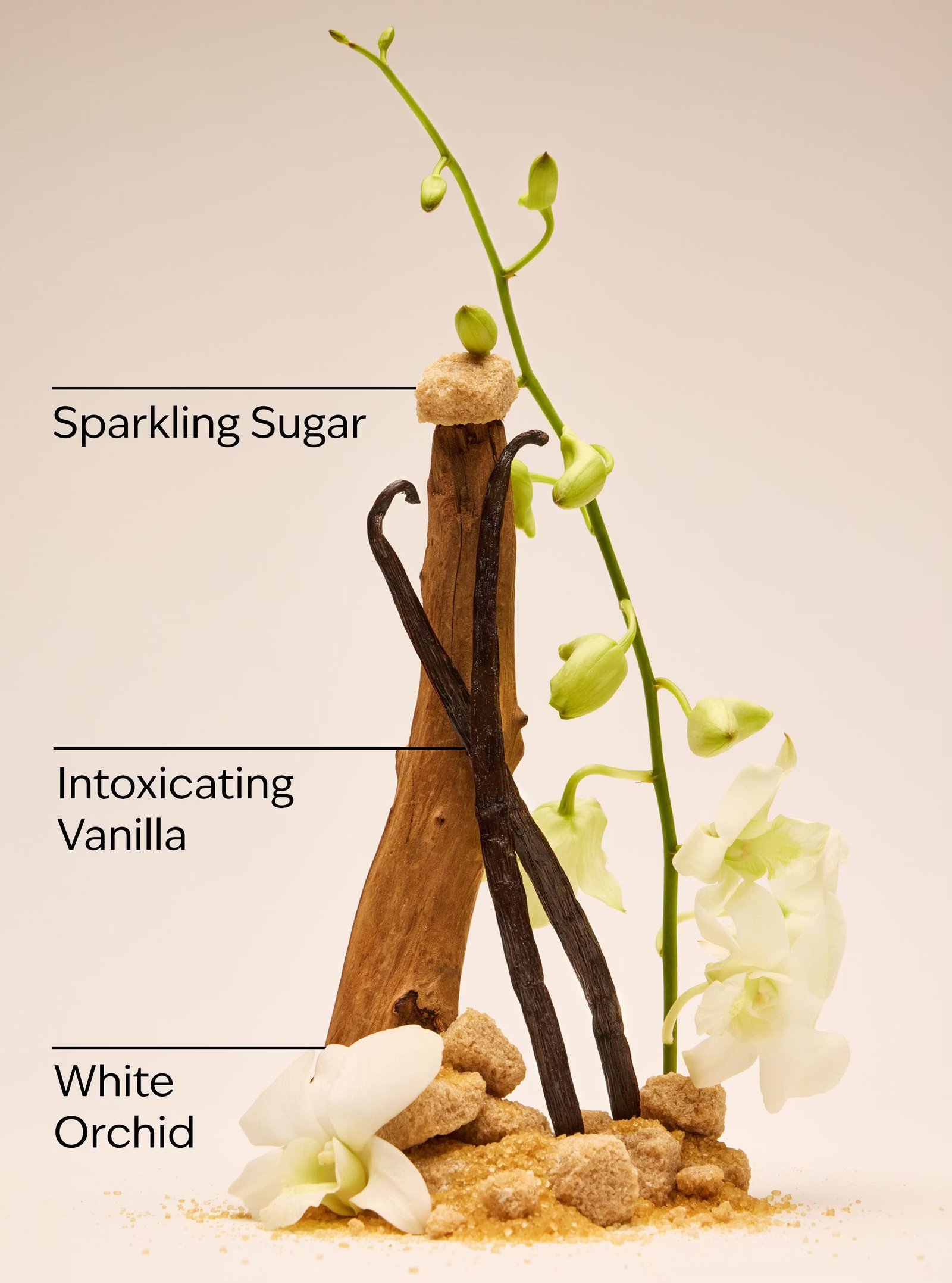 Warm Vanilla Sugar Ultimate Hydration Body Cream - Image 3