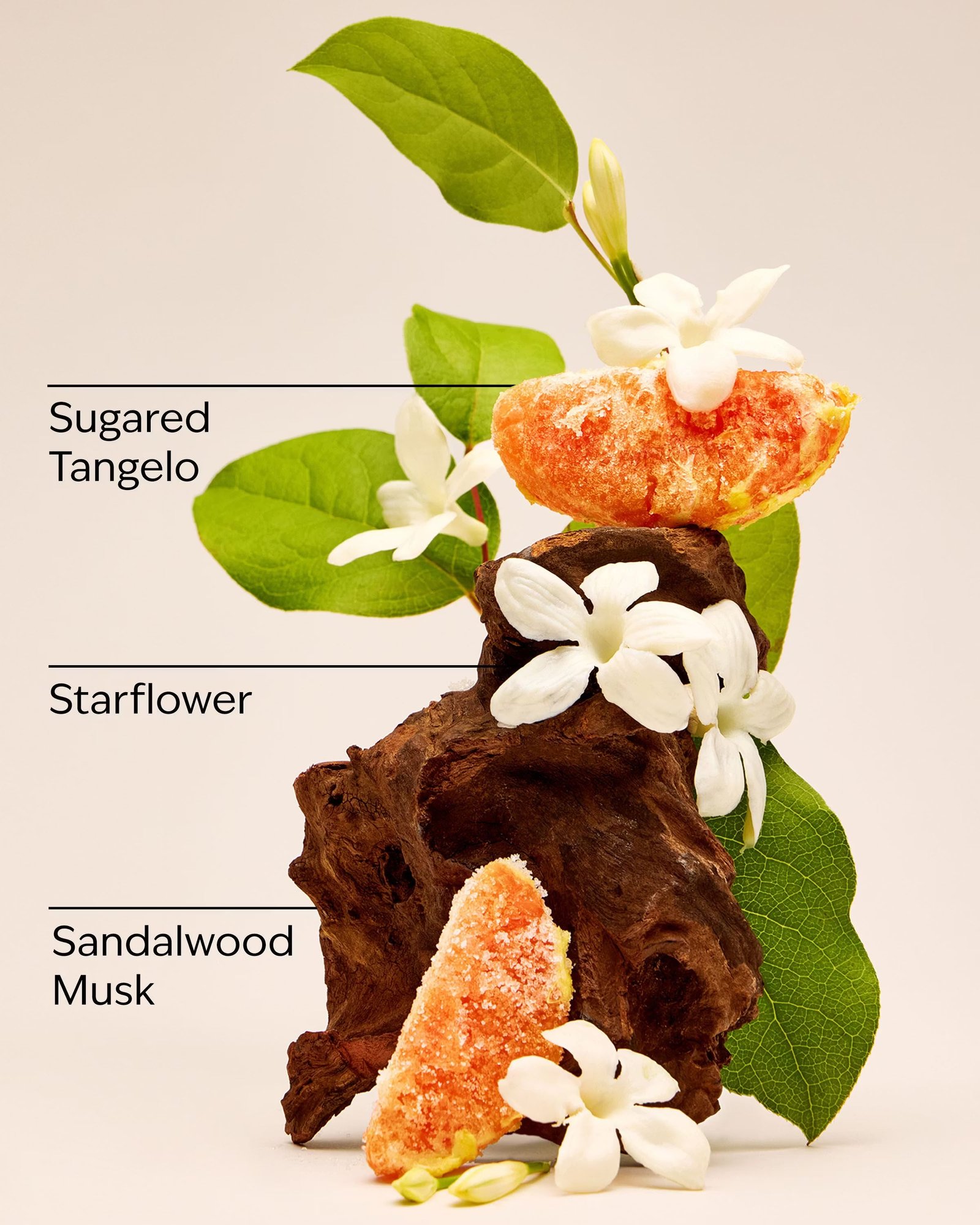 In the Stars Travel Size Fine Fragrance Mist - Image 3