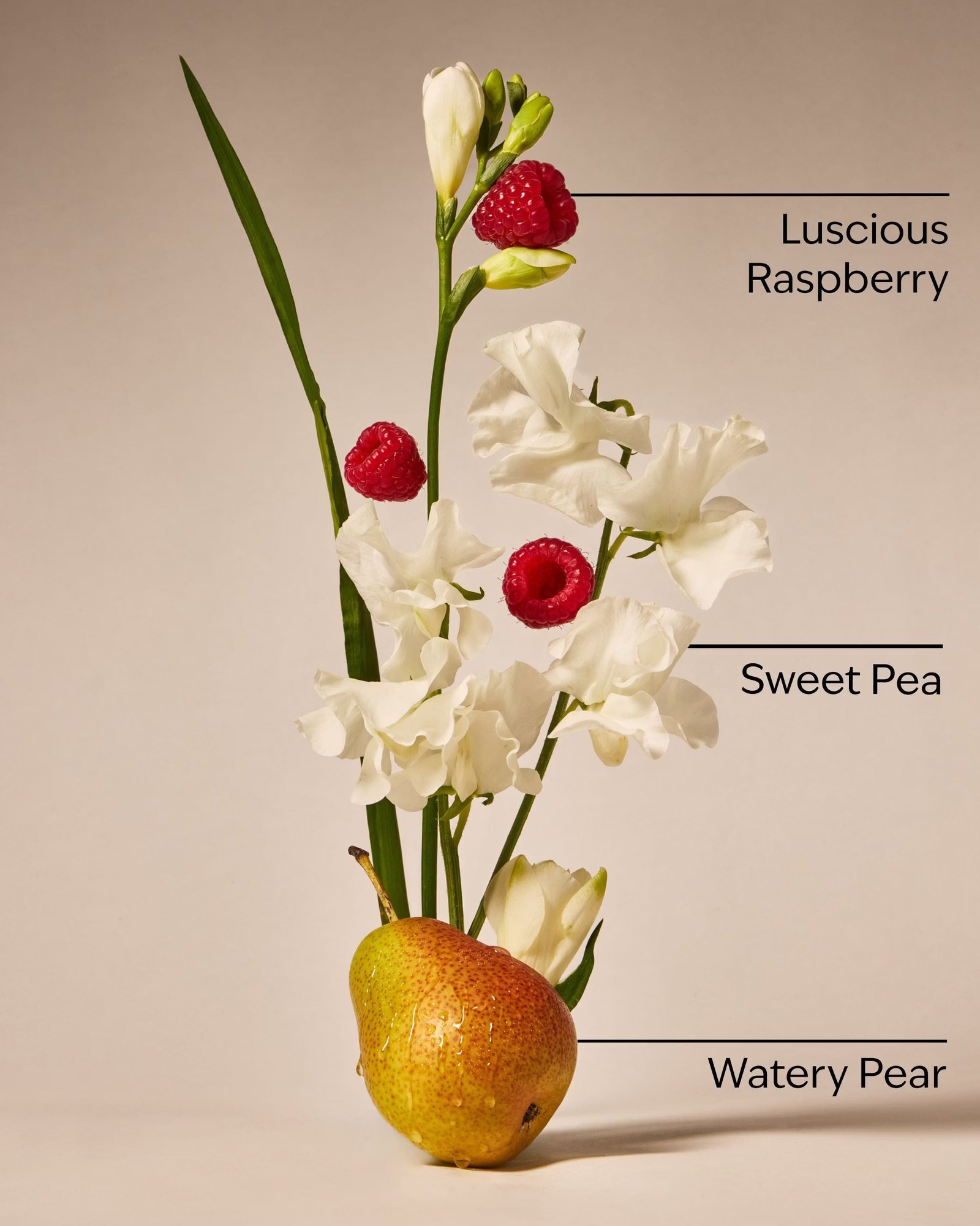 Sweet Pea Body Wash - Image 3