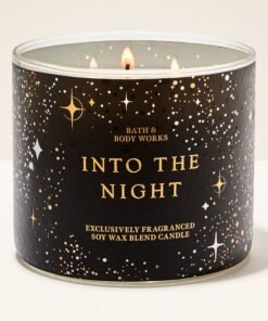 Into The Night 3-Wick Candle