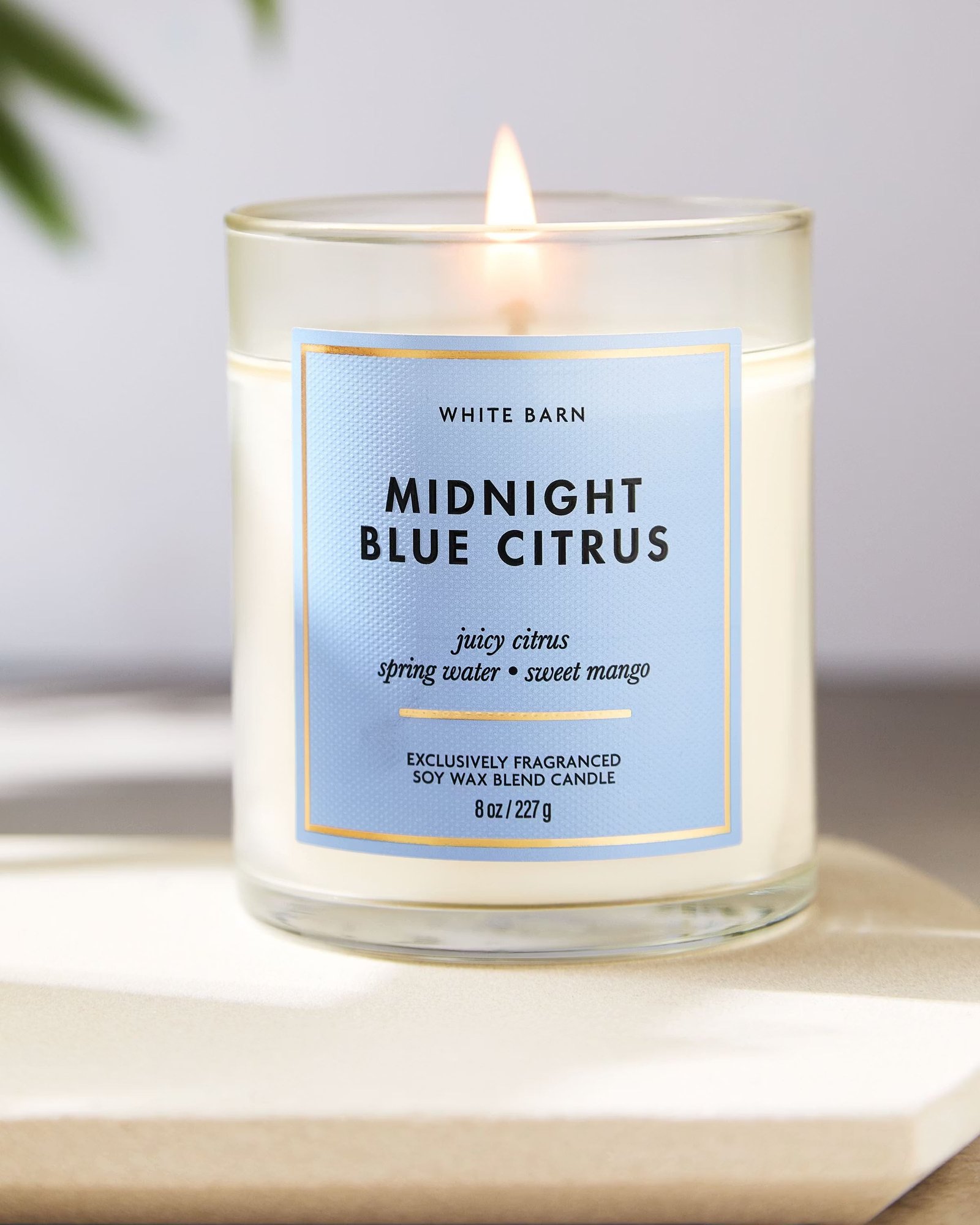 Midnight Blue Citrus Single Wick Candle - Image 6