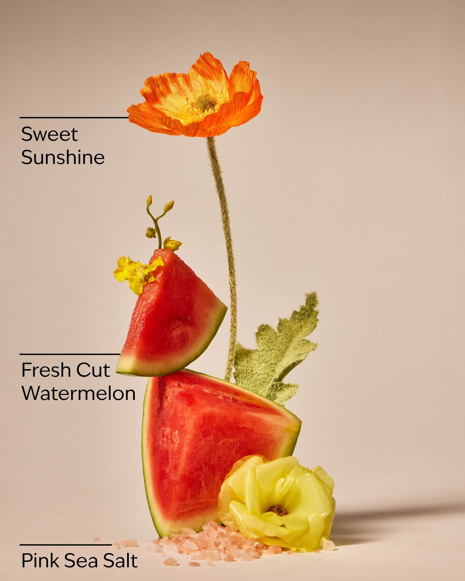 Fresh Watermelon 3-Wick Candle - Image 5
