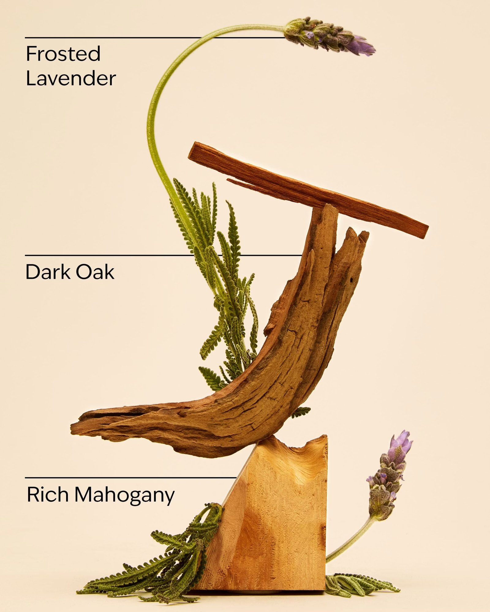 Mahogany Teakwood Antiperspirant Deodorant - Image 3