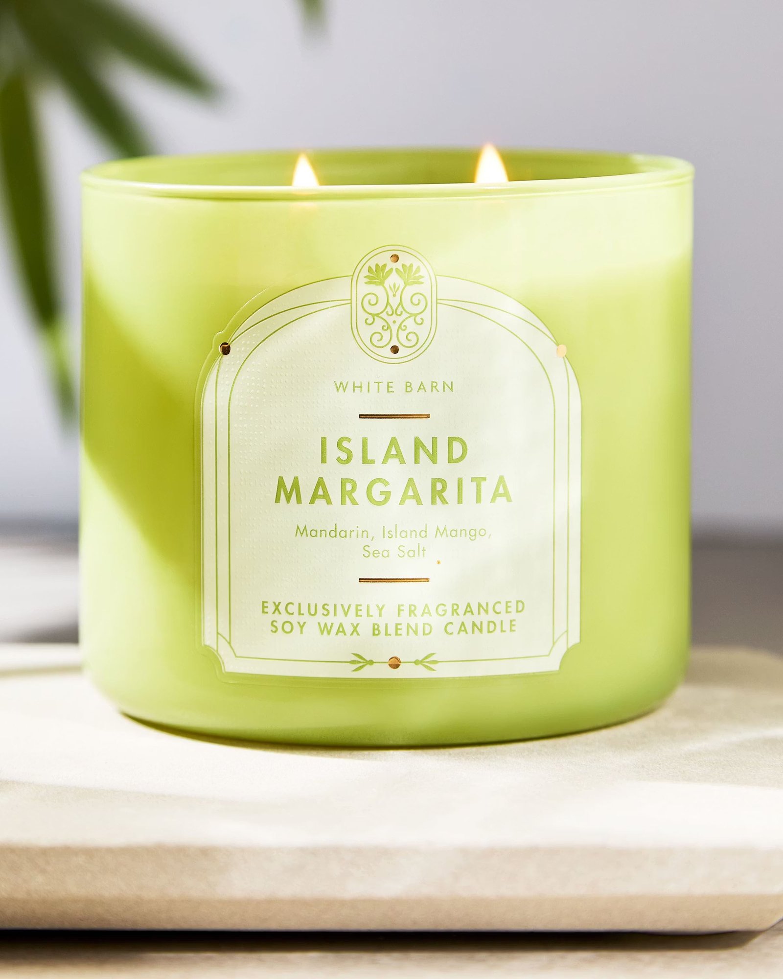 Island Margarita 3-Wick Candle - Image 5