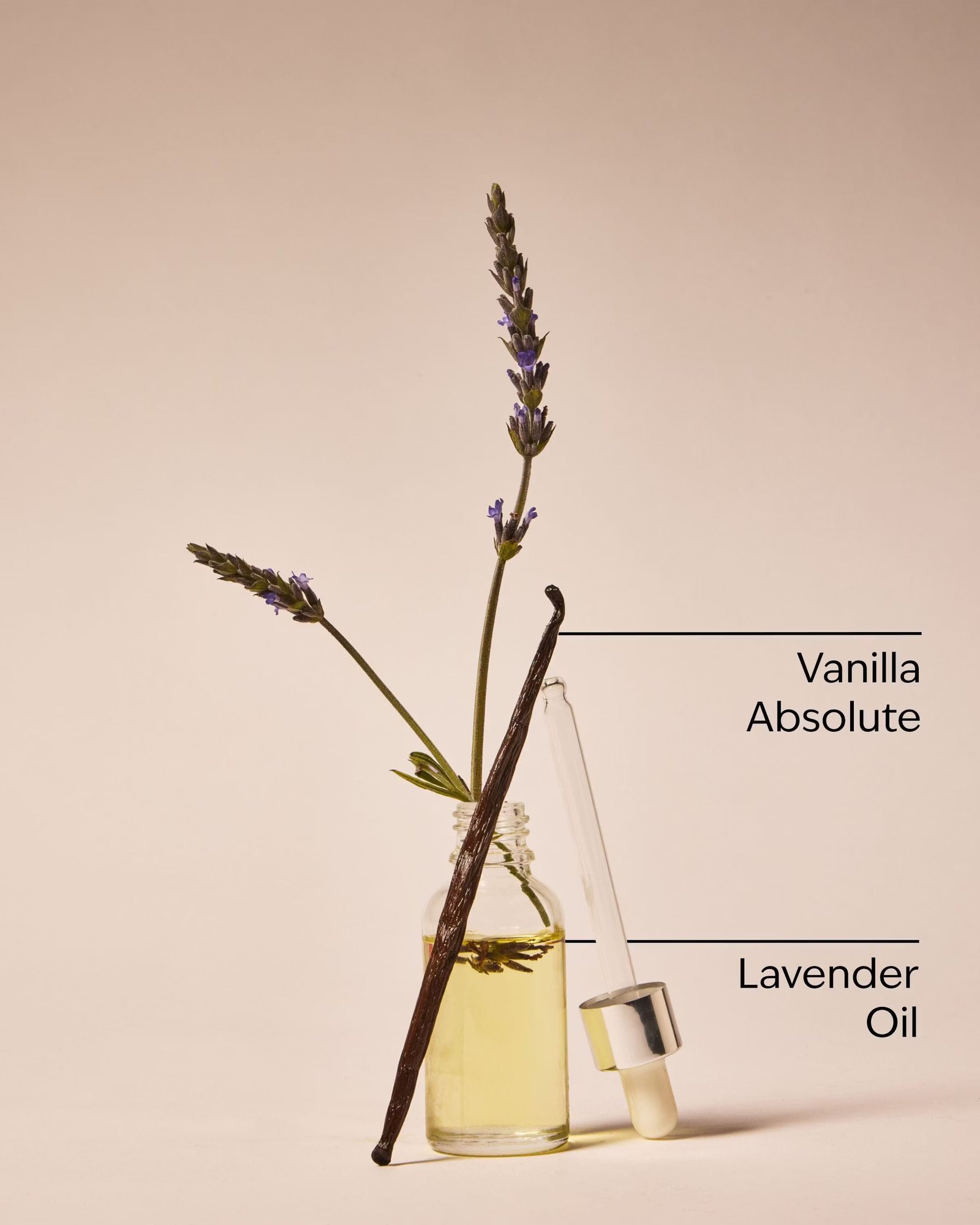 Lavender Vanilla Travel Size Ultimate Hydration Body Cream - Image 3