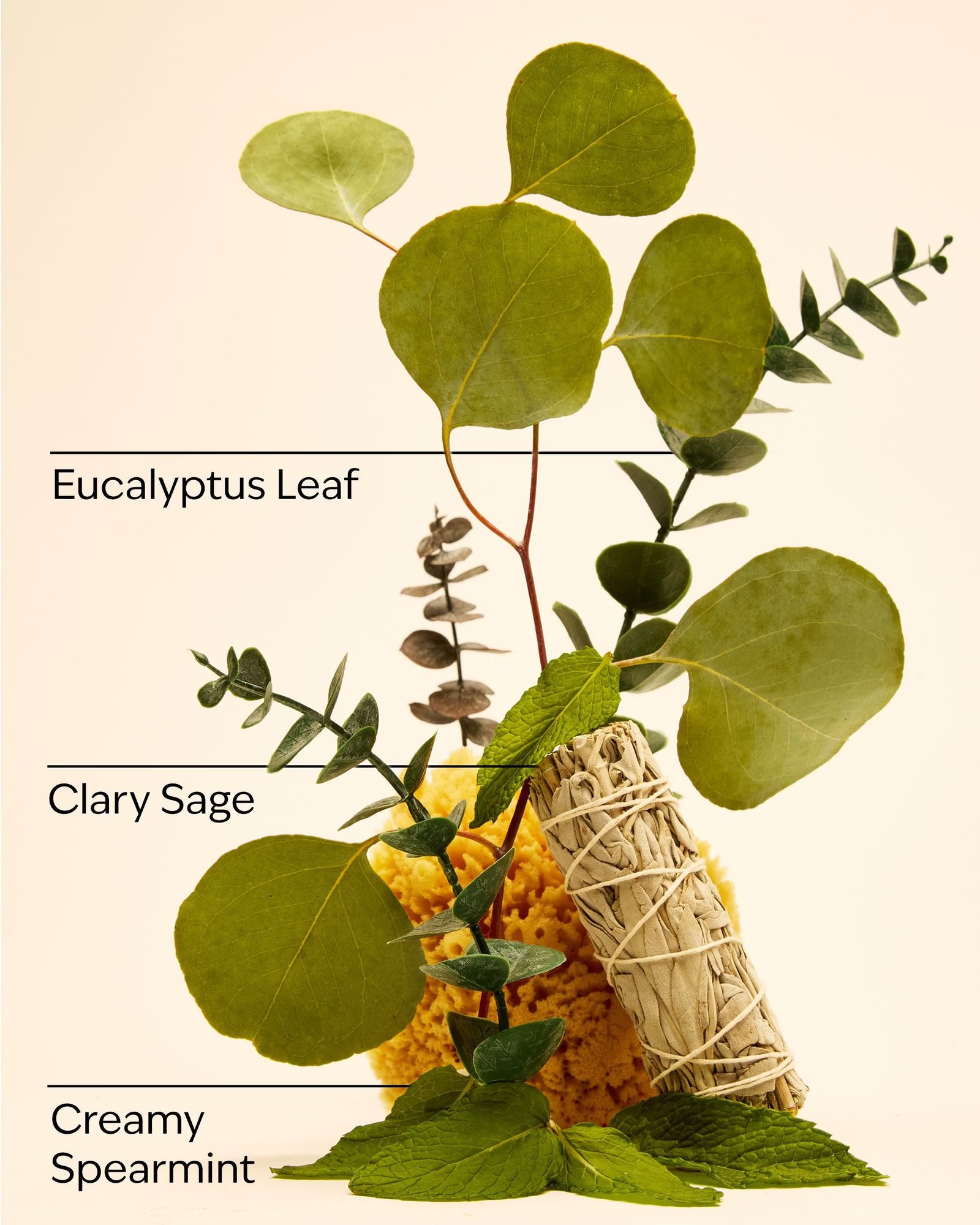 Eucalyptus Spearmint Travel Size Essential Oil Mist - Image 3