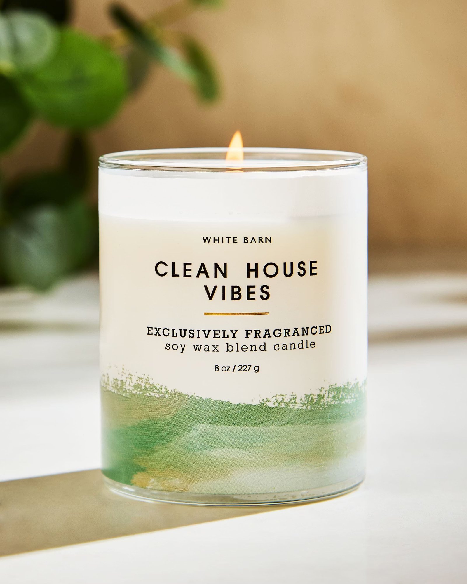 Clean House Vibes Single Wick Candle - Image 6