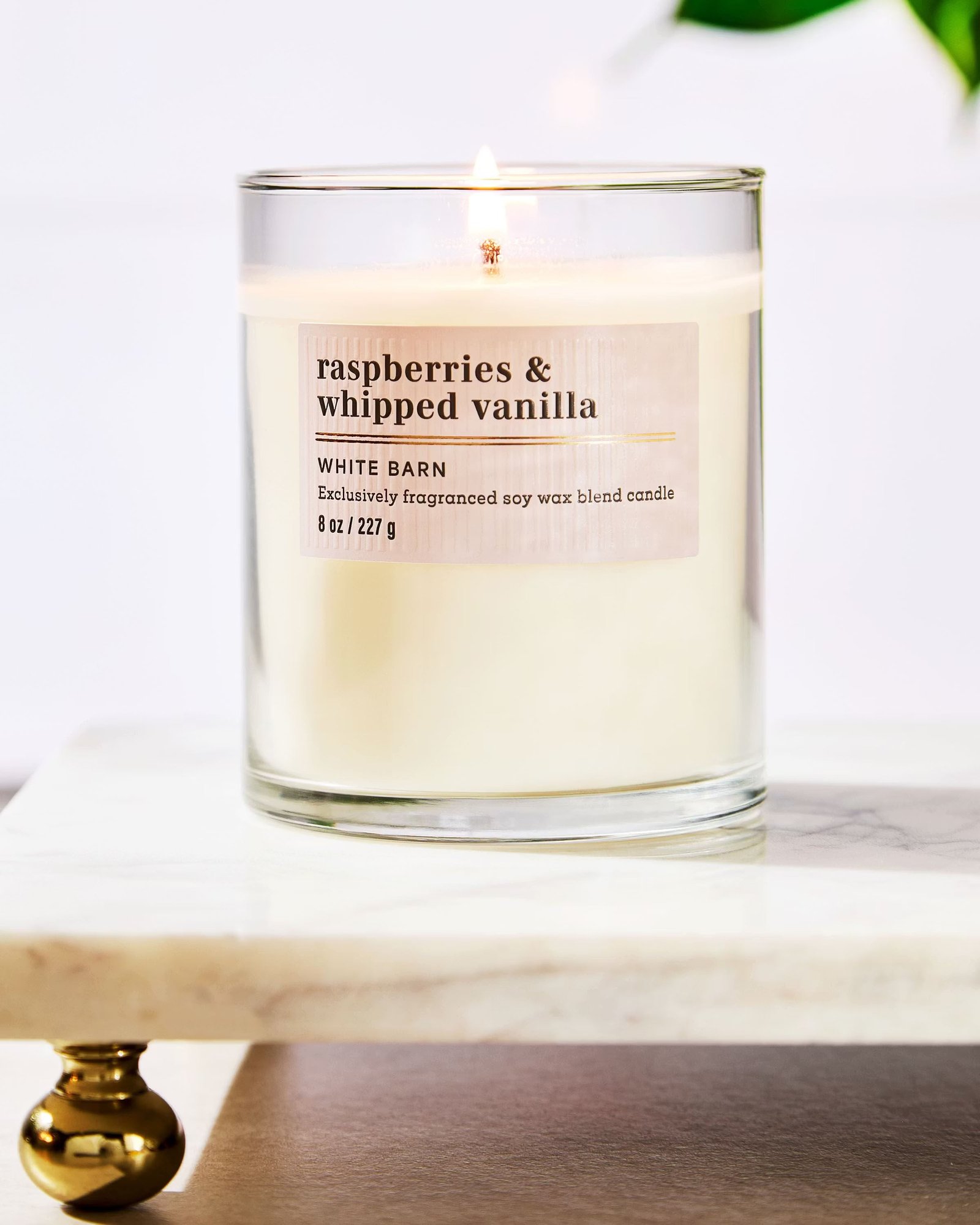 Raspberries & Whipped Vanilla Single Wick Candle - Image 6