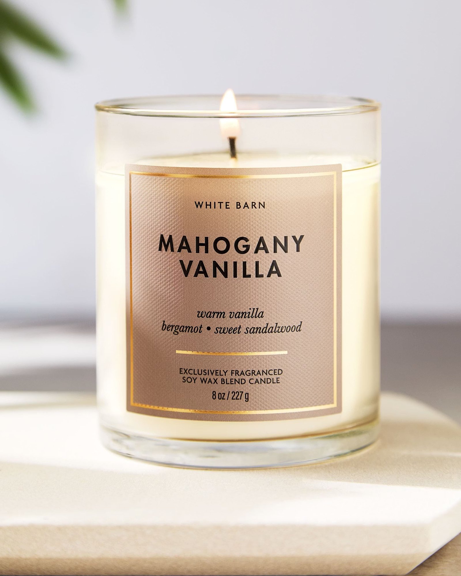 Mahogany Vanilla Single Wick Candle - Image 6