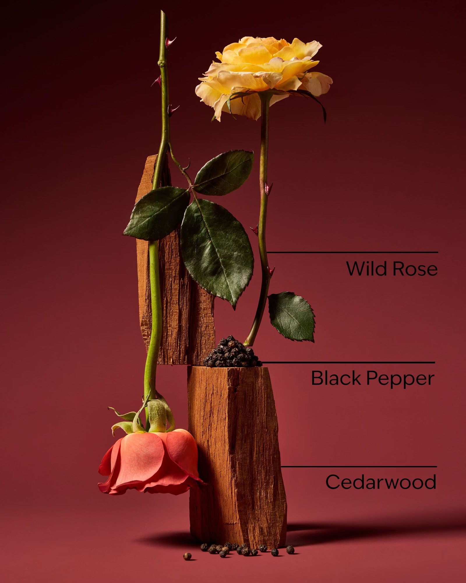 Nocturnal Rose 3-in-1 Hair, Face & Body Wash - Image 3