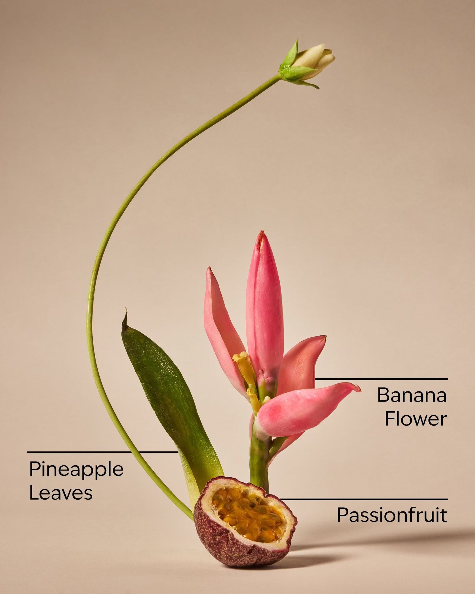 Bahamas Passionfruit & Banana Flower Body Wash - Image 3