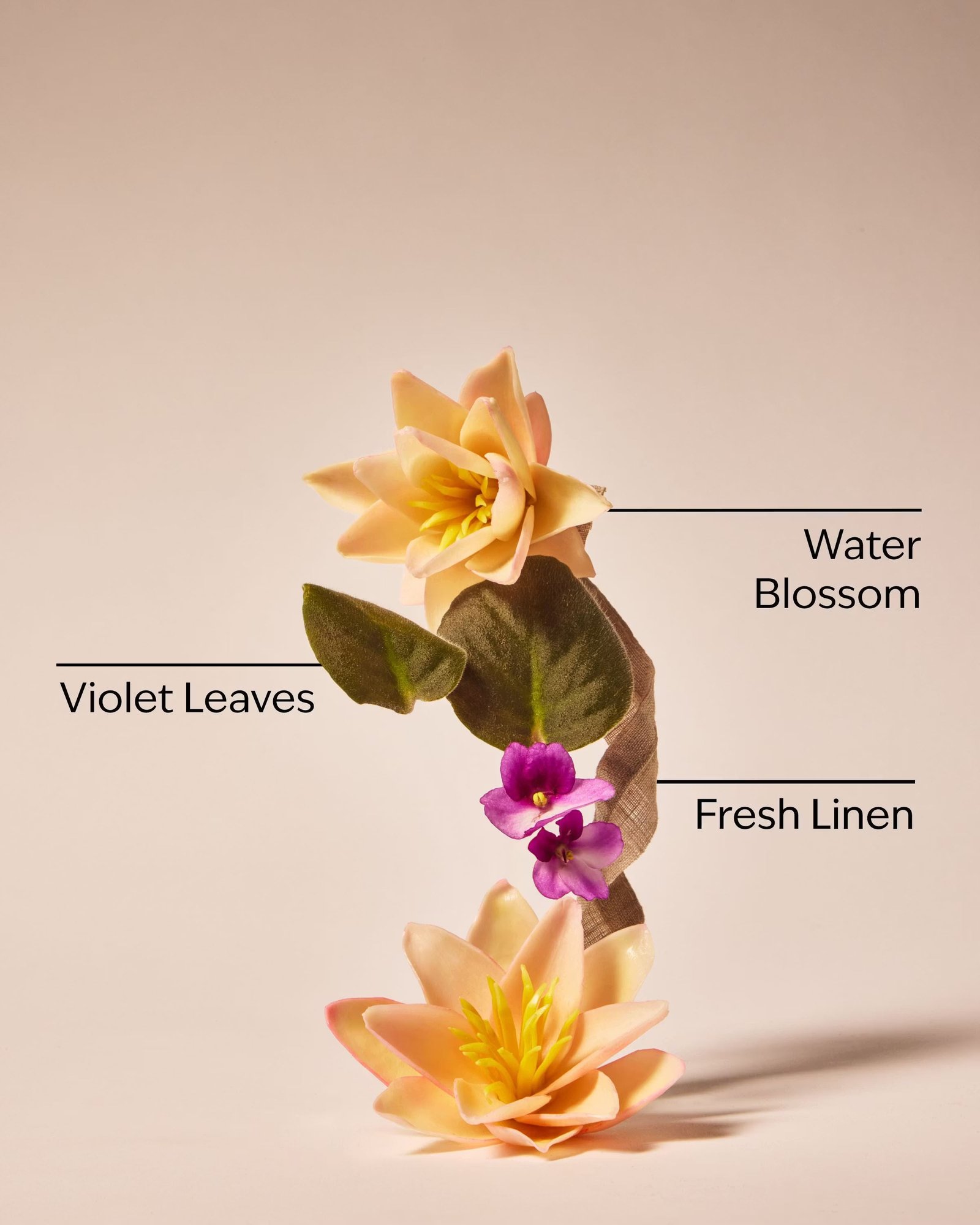 Saltwater Breeze Body Wash - Image 6